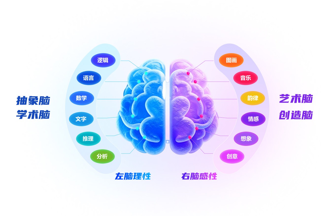 天才少年大脑开发